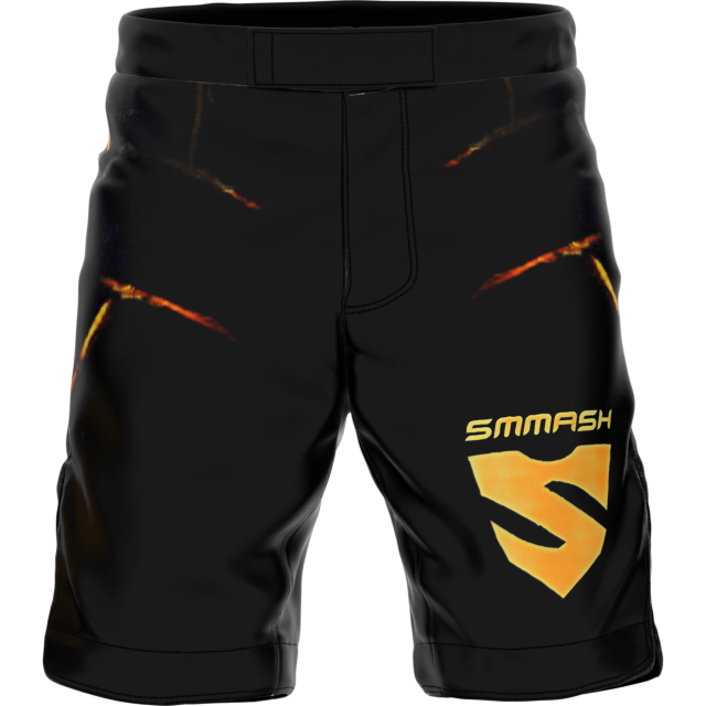 MMA PRO SHORTS